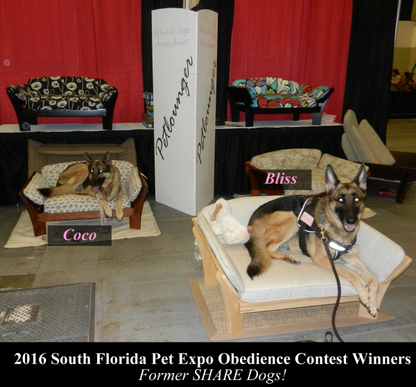 2016-south-fl-pet-expo-obedience-contest-winners